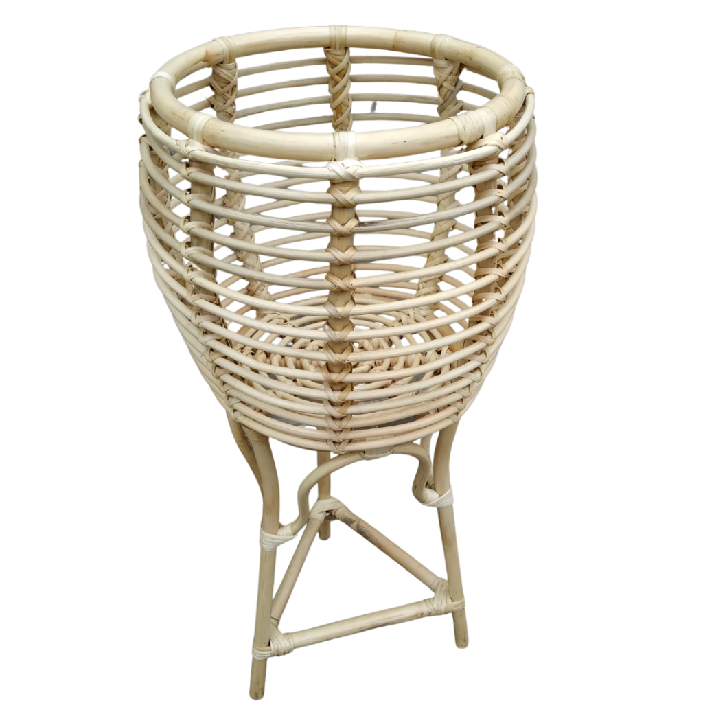 plant place rattan